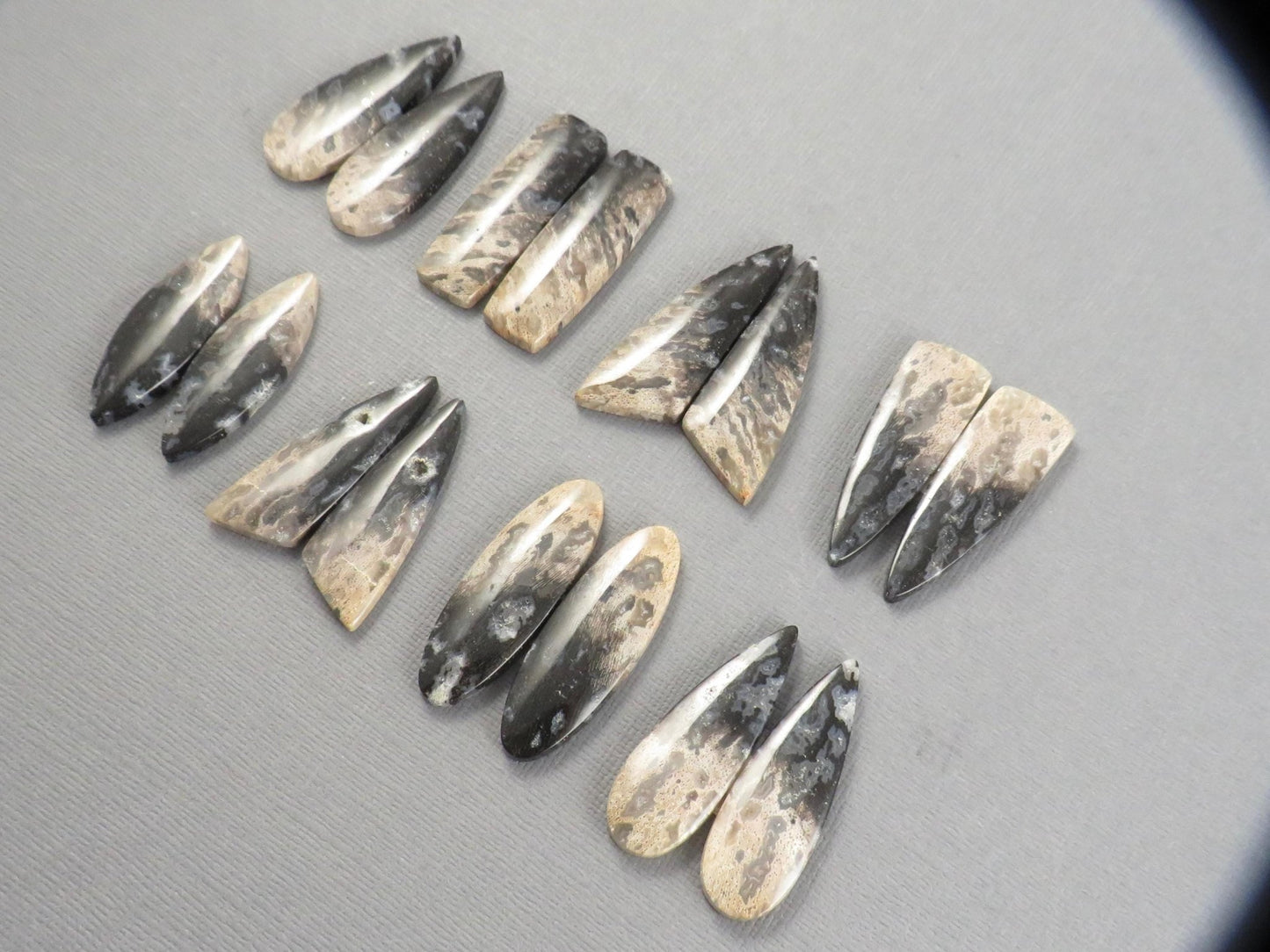 Fossilized Palm Root Cabochon Pairs | 33–39mm, avg 27.44ct | Per Pair | Indonesia | PRA103 - Gem Enthusiast