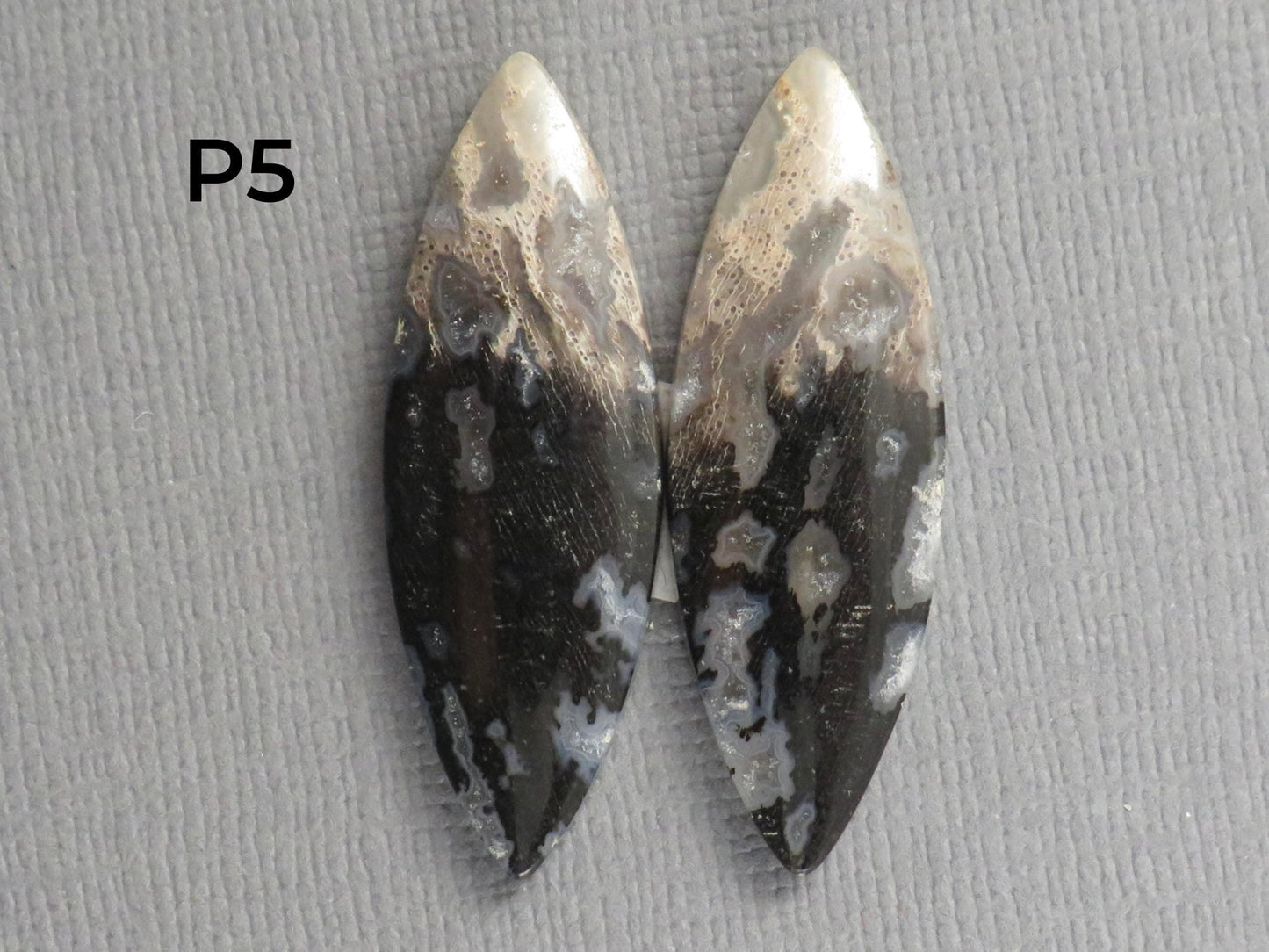 Fossilized Palm Root Cabochon Pairs | 33–39mm, avg 27.44ct | Per Pair | Indonesia | PRA103 - Gem Enthusiast