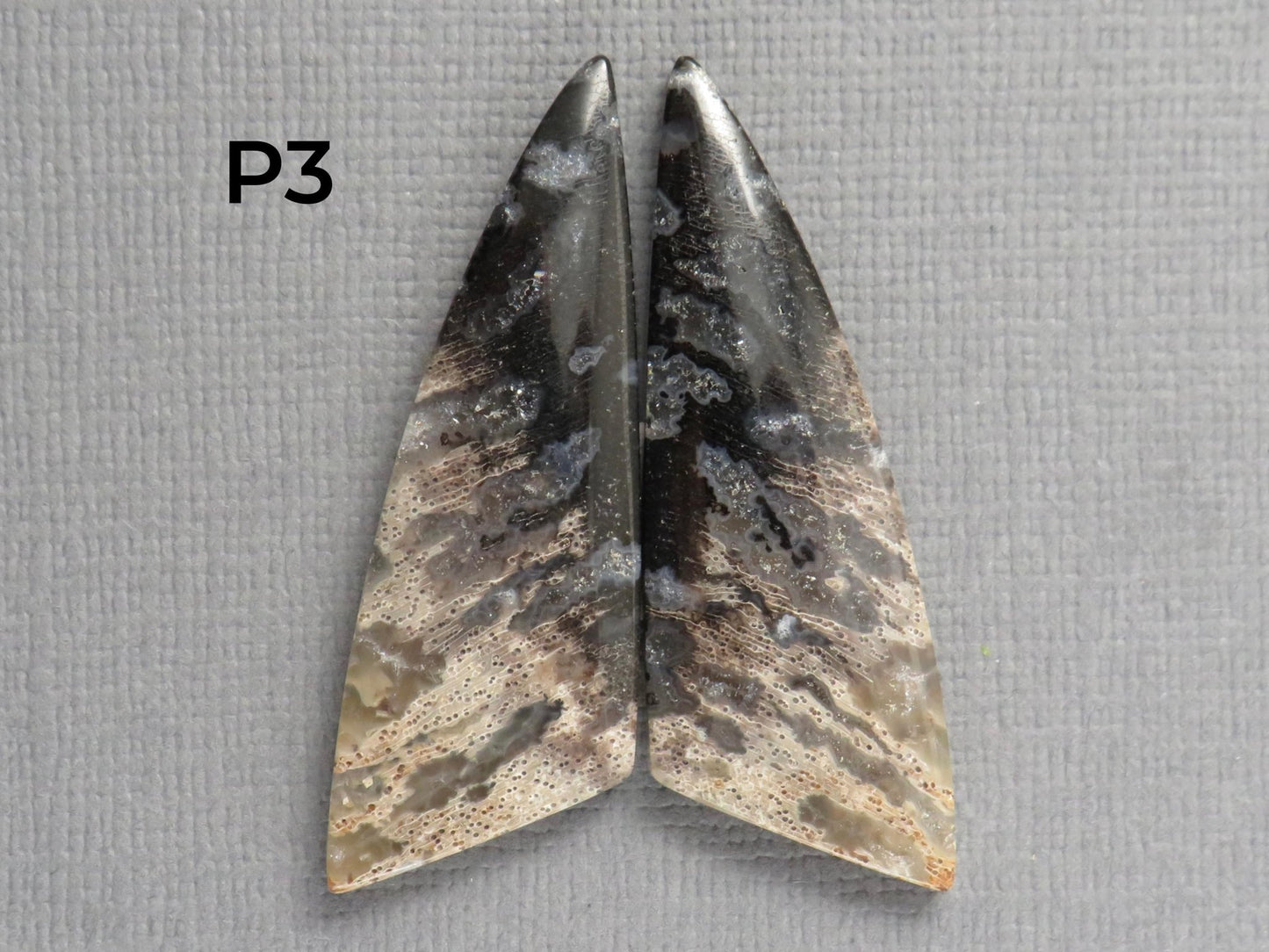 Fossilized Palm Root Cabochon Pairs | 33–39mm, avg 27.44ct | Per Pair | Indonesia | PRA103 - Gem Enthusiast