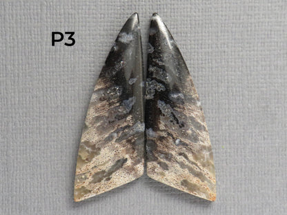 Fossilized Palm Root Cabochon Pairs | 33–39mm, avg 27.44ct | Per Pair | Indonesia | PRA103 - Gem Enthusiast