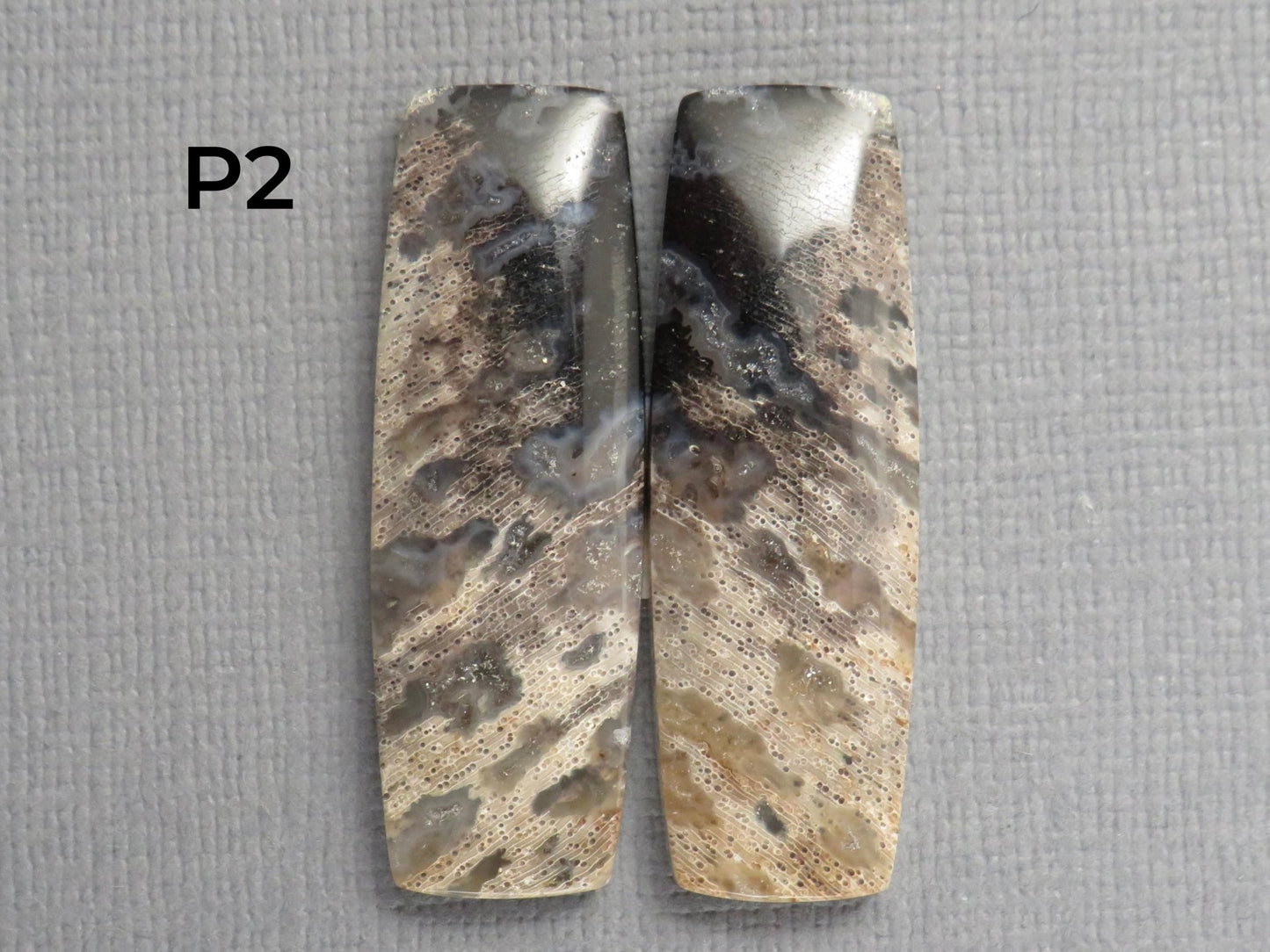 Fossilized Palm Root Cabochon Pairs | 33–39mm, avg 27.44ct | Per Pair | Indonesia | PRA103 - Gem Enthusiast