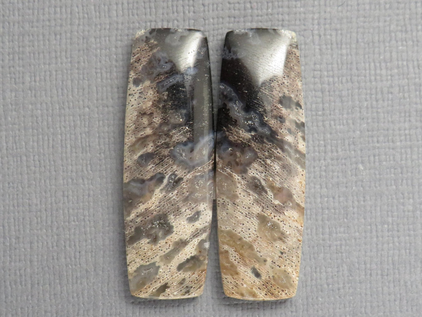 Fossilized Palm Root Cabochon Pairs | 33–39mm, avg 27.44ct | Per Pair | Indonesia | PRA103 - Gem Enthusiast
