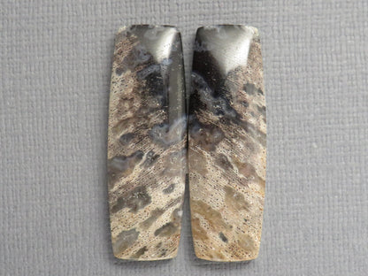 Fossilized Palm Root Cabochon Pairs | 33–39mm, avg 27.44ct | Per Pair | Indonesia | PRA103 - Gem Enthusiast