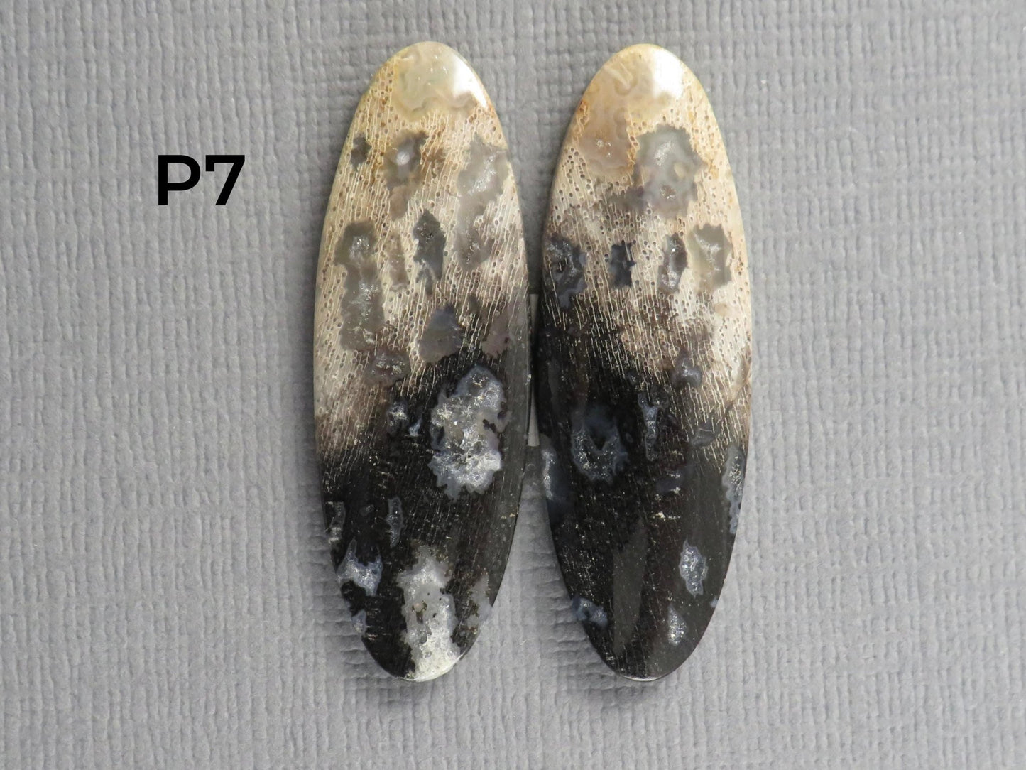 Fossilized Palm Root Cabochon Pairs | 33–39mm, avg 27.44ct | Per Pair | Indonesia | PRA103 - Gem Enthusiast