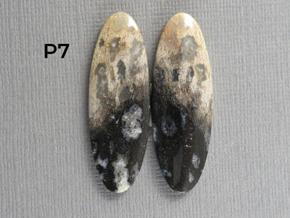 Fossilized Palm Root Cabochon Pairs | 33–39mm, avg 27.44ct | Per Pair | Indonesia | PRA103 - Gem Enthusiast