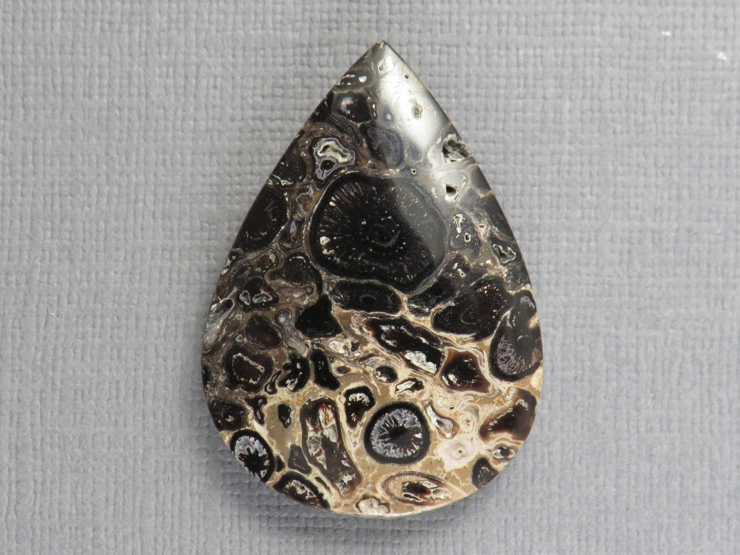 Fossilized Palm Root Cabochon Pear | Palm Root Eye | 35x25mm, 27.4ct | Indonesia | PRA105 - Gem Enthusiast