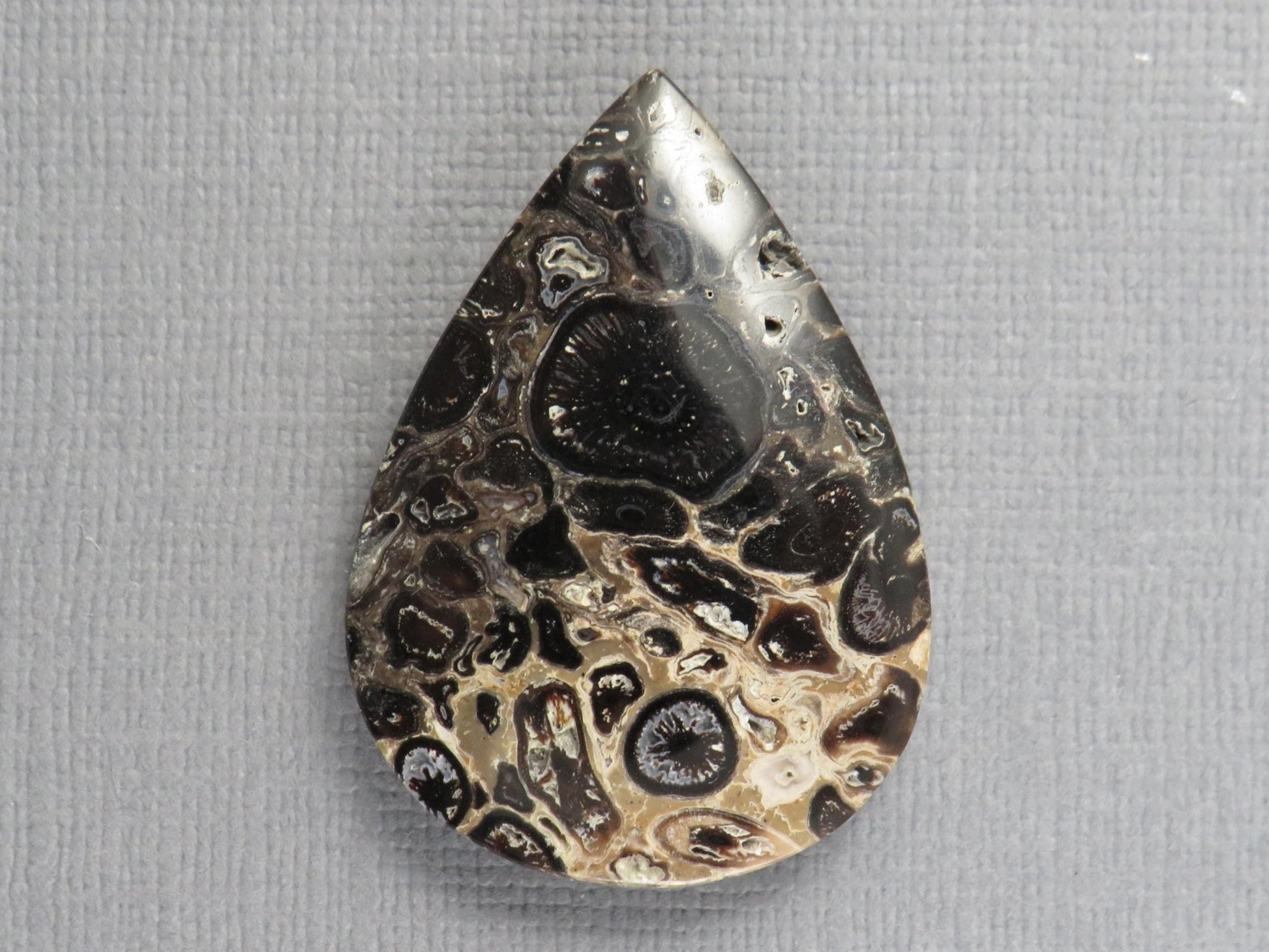 Fossilized Palm Root Cabochon Pear | Palm Root Eye | 35x25mm, 27.4ct | Indonesia | PRA105 - Gem Enthusiast