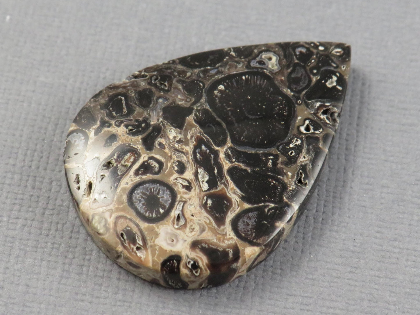 Fossilized Palm Root Cabochon Pear | Palm Root Eye | 35x25mm, 27.4ct | Indonesia | PRA105 - Gem Enthusiast