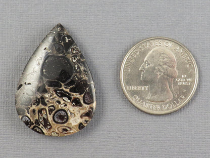 Fossilized Palm Root Cabochon Pear | Palm Root Eye | 35x25mm, 27.4ct | Indonesia | PRA105 - Gem Enthusiast