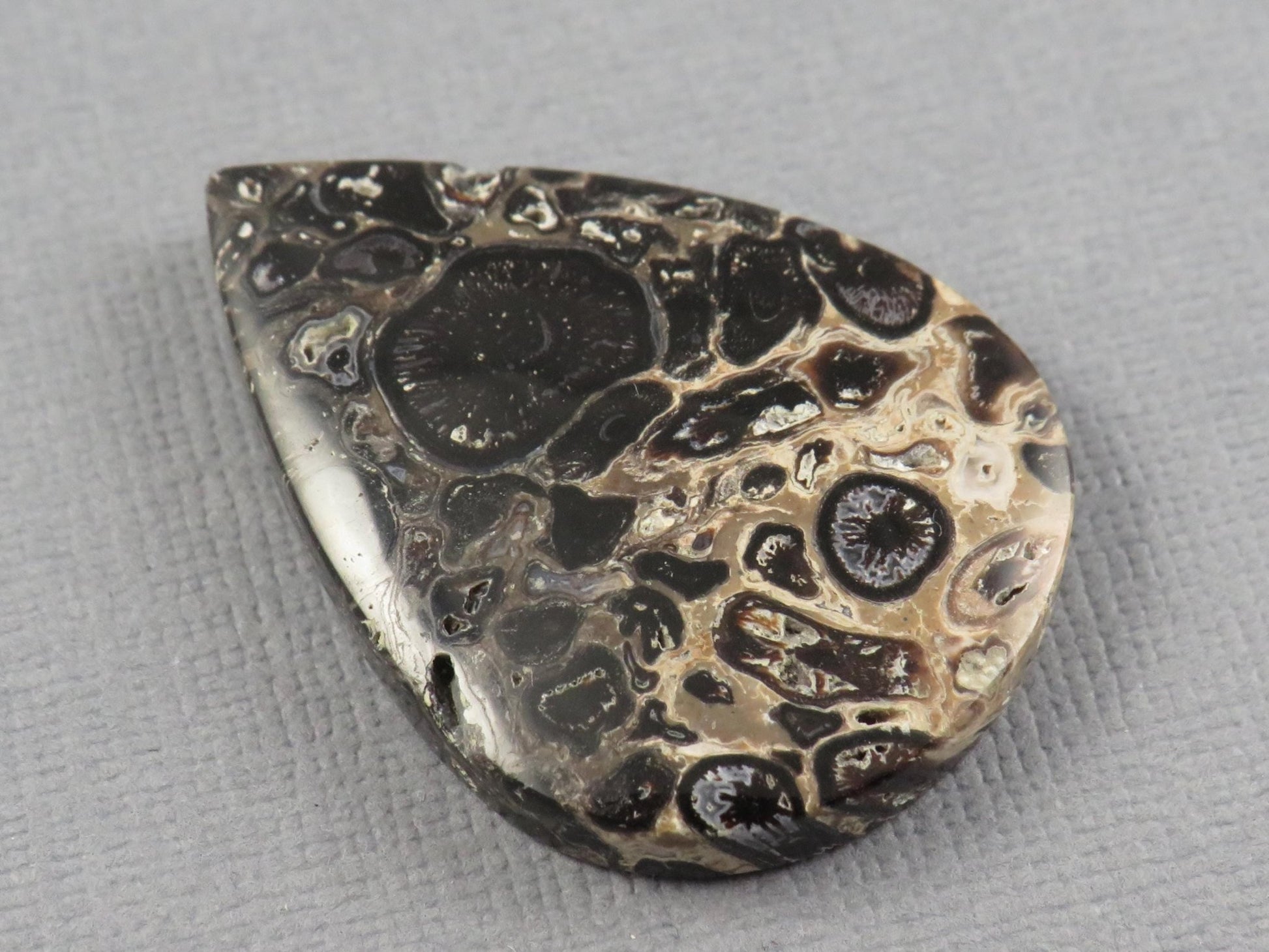 Fossilized Palm Root Cabochon Pear | Palm Root Eye | 35x25mm, 27.4ct | Indonesia | PRA105 - Gem Enthusiast