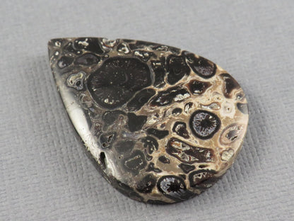 Fossilized Palm Root Cabochon Pear | Palm Root Eye | 35x25mm, 27.4ct | Indonesia | PRA105 - Gem Enthusiast