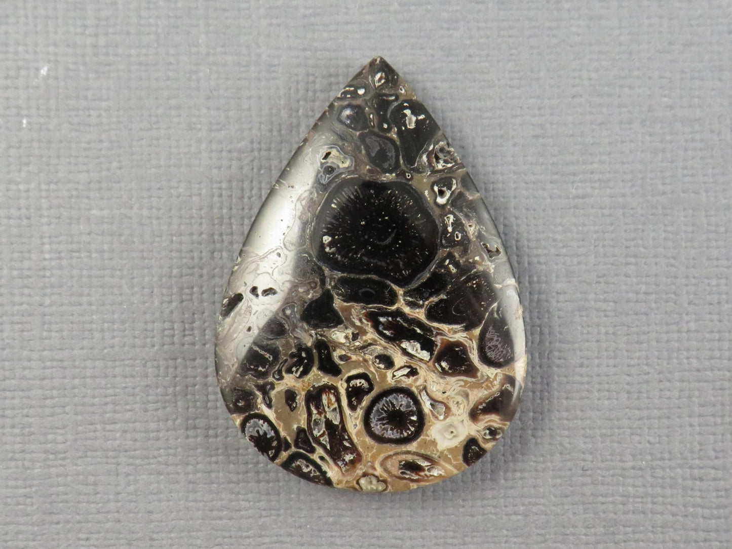 Fossilized Palm Root Cabochon Pear | Palm Root Eye | 35x25mm, 27.4ct | Indonesia | PRA105 - Gem Enthusiast