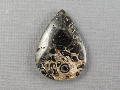 Fossilized Palm Root Cabochon Pear | Palm Root Eye | 35x25mm, 27.4ct | Indonesia | PRA105 - Gem Enthusiast