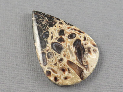 Fossilized Palm Root Cabochon Pear | Palm Root Eye | 36x25mm, 24.2ct | Indonesia | PRA106 - Gem Enthusiast