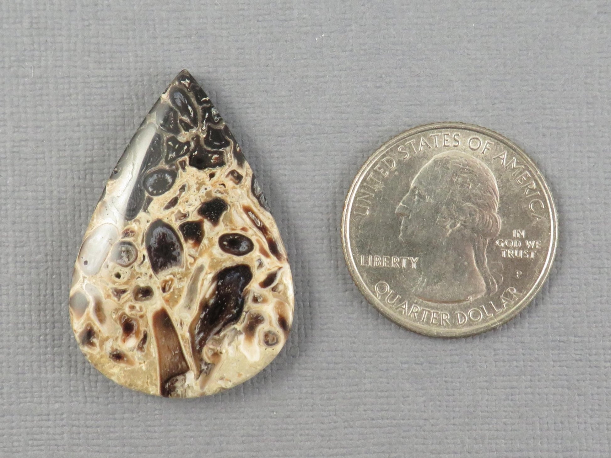 Fossilized Palm Root Cabochon Pear | Palm Root Eye | 36x25mm, 24.2ct | Indonesia | PRA106 - Gem Enthusiast