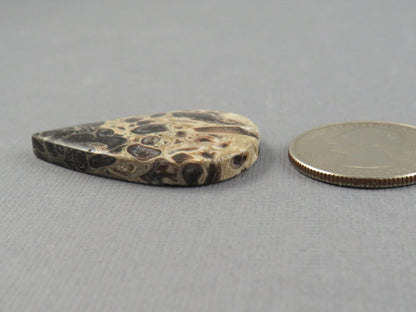 Fossilized Palm Root Cabochon Pear | Palm Root Eye | 36x25mm, 24.2ct | Indonesia | PRA106 - Gem Enthusiast