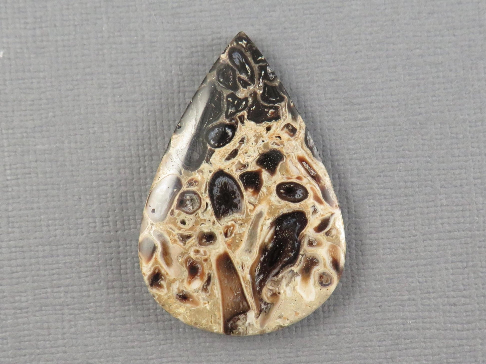 Fossilized Palm Root Cabochon Pear | Palm Root Eye | 36x25mm, 24.2ct | Indonesia | PRA106 - Gem Enthusiast