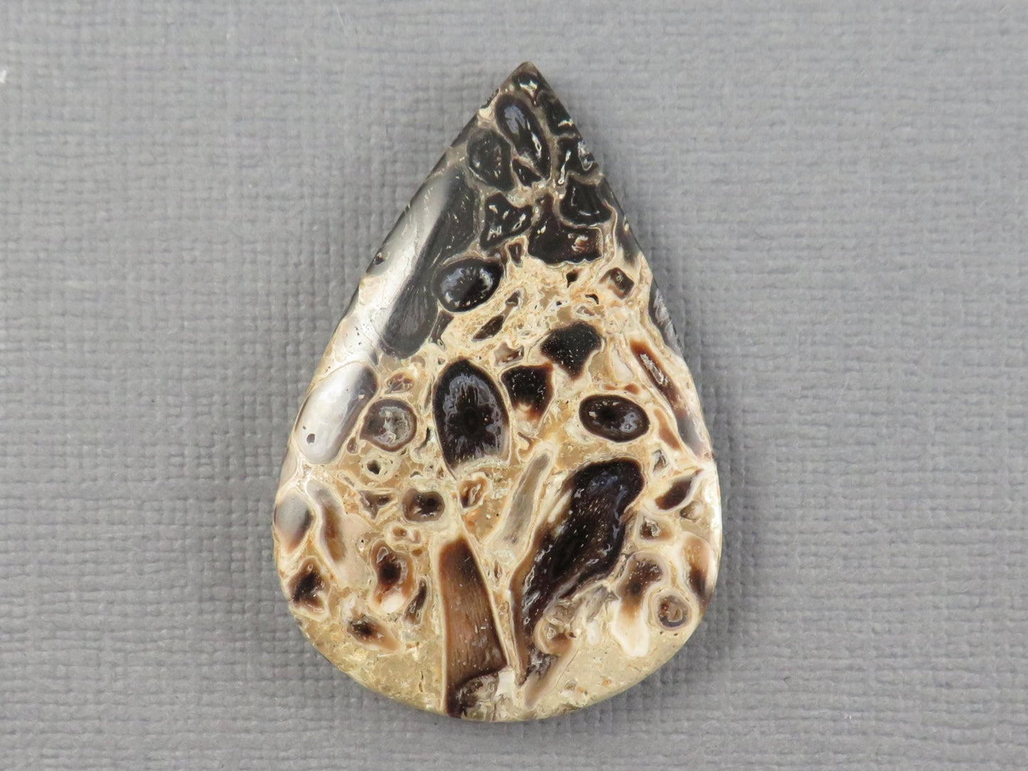 Fossilized Palm Root Cabochon Pear | Palm Root Eye | 36x25mm, 24.2ct | Indonesia | PRA106 - Gem Enthusiast