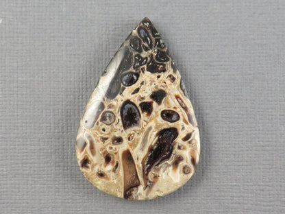 Fossilized Palm Root Cabochon Pear | Palm Root Eye | 36x25mm, 24.2ct | Indonesia | PRA106 - Gem Enthusiast