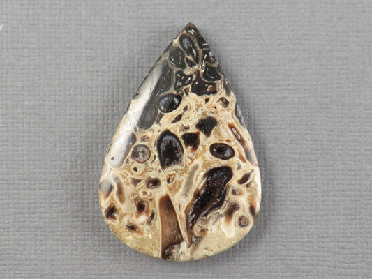Fossilized Palm Root Cabochon Pear | Palm Root Eye | 36x25mm, 24.2ct | Indonesia | PRA106 - Gem Enthusiast