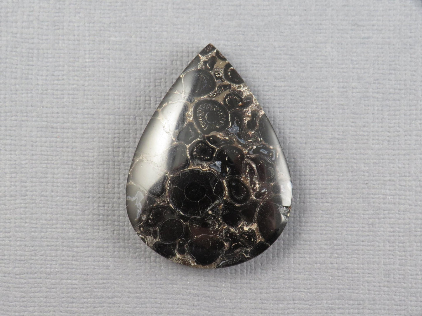 Fossilized Palm Root Cabochon Pear | Palm Root Stone | 34x25mm, 29.6ct | Indonesia | PRA104 - Gem Enthusiast