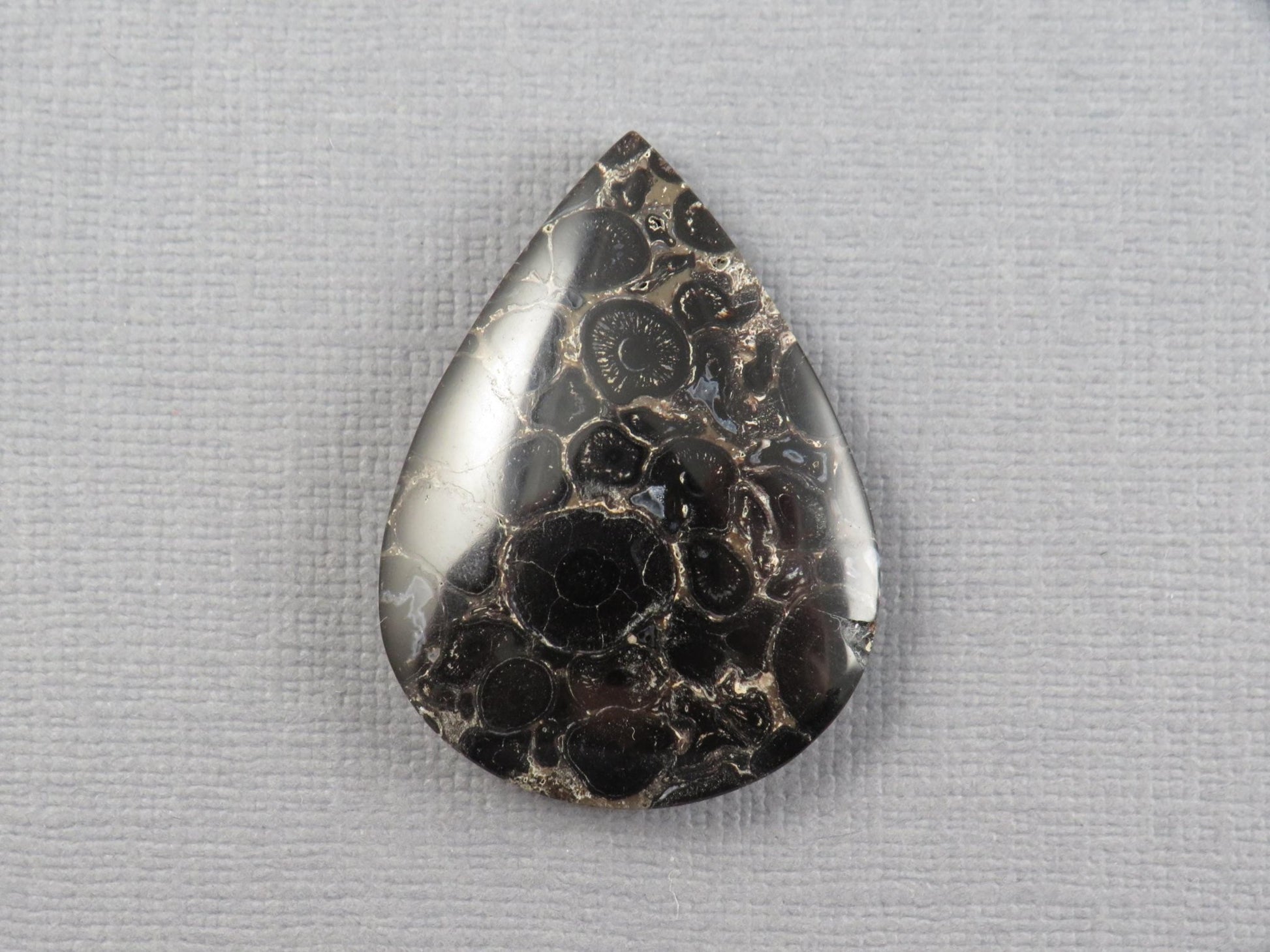 Fossilized Palm Root Cabochon Pear | Palm Root Stone | 34x25mm, 29.6ct | Indonesia | PRA104 - Gem Enthusiast