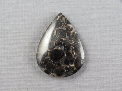 Fossilized Palm Root Cabochon Pear | Palm Root Stone | 34x25mm, 29.6ct | Indonesia | PRA104 - Gem Enthusiast
