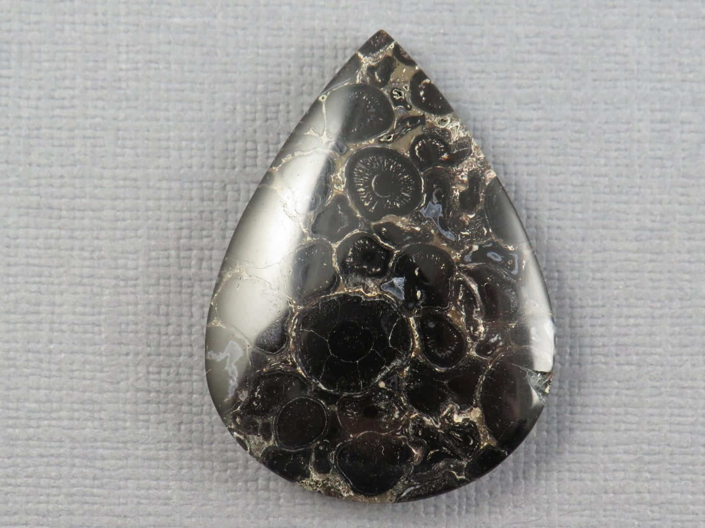 Fossilized Palm Root Cabochon Pear | Palm Root Stone | 34x25mm, 29.6ct | Indonesia | PRA104 - Gem Enthusiast