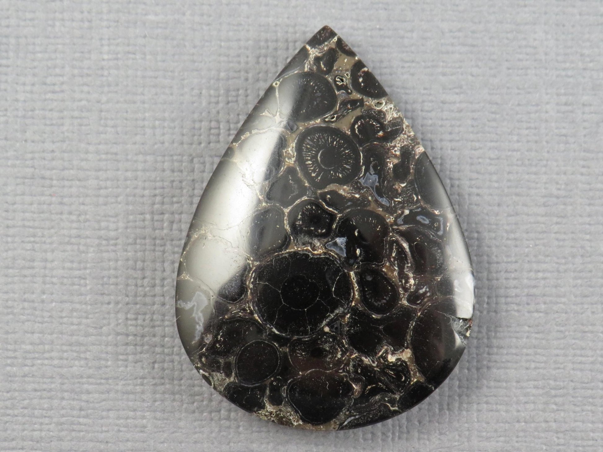Fossilized Palm Root Cabochon Pear | Palm Root Stone | 34x25mm, 29.6ct | Indonesia | PRA104 - Gem Enthusiast