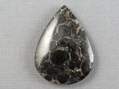 Fossilized Palm Root Cabochon Pear | Palm Root Stone | 34x25mm, 29.6ct | Indonesia | PRA104 - Gem Enthusiast