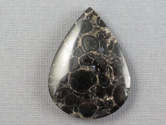 Fossilized Palm Root Cabochon Pear | Palm Root Stone | 34x25mm, 29.6ct | Indonesia | PRA104 - Gem Enthusiast