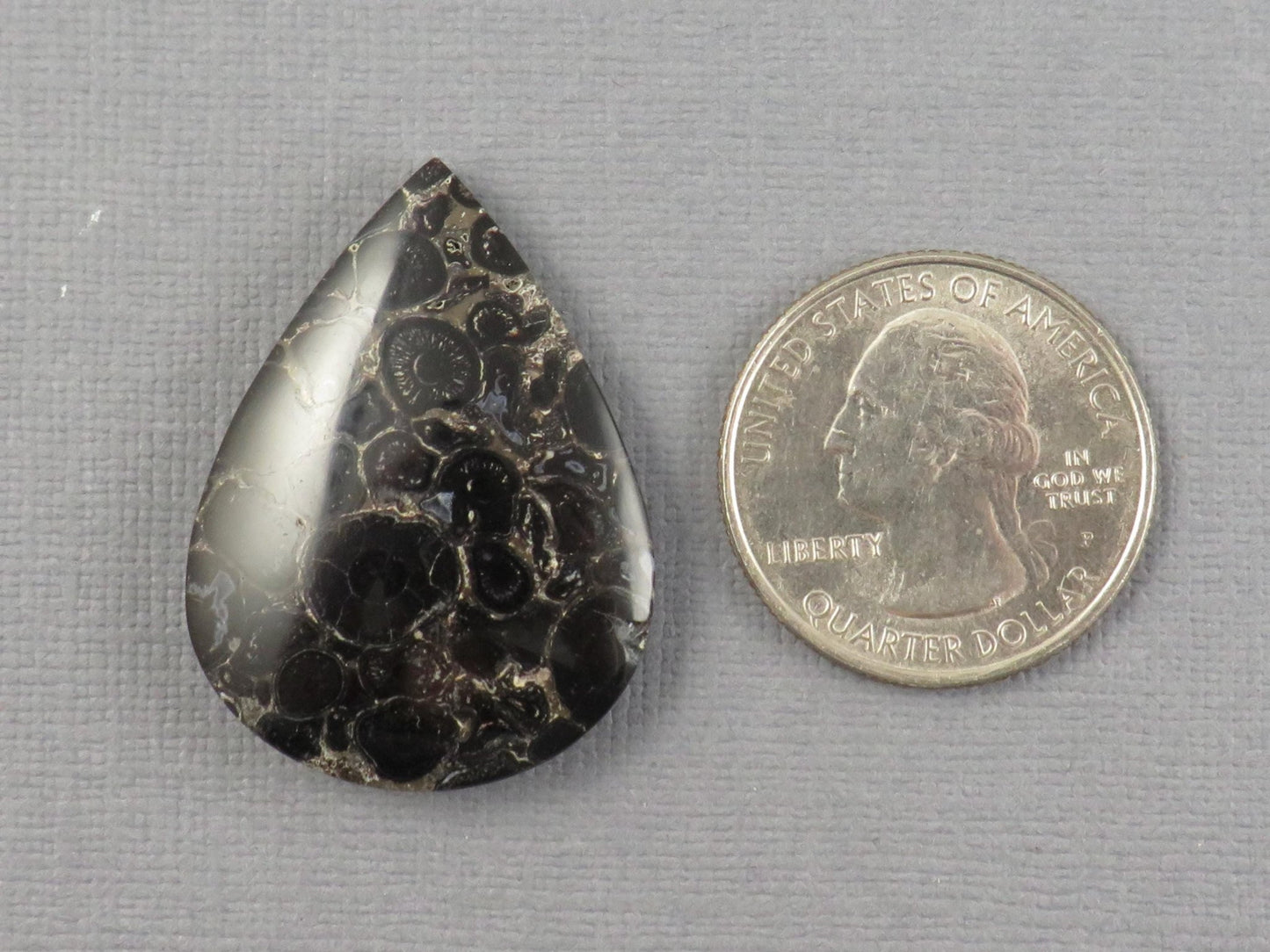 Fossilized Palm Root Cabochon Pear | Palm Root Stone | 34x25mm, 29.6ct | Indonesia | PRA104 - Gem Enthusiast