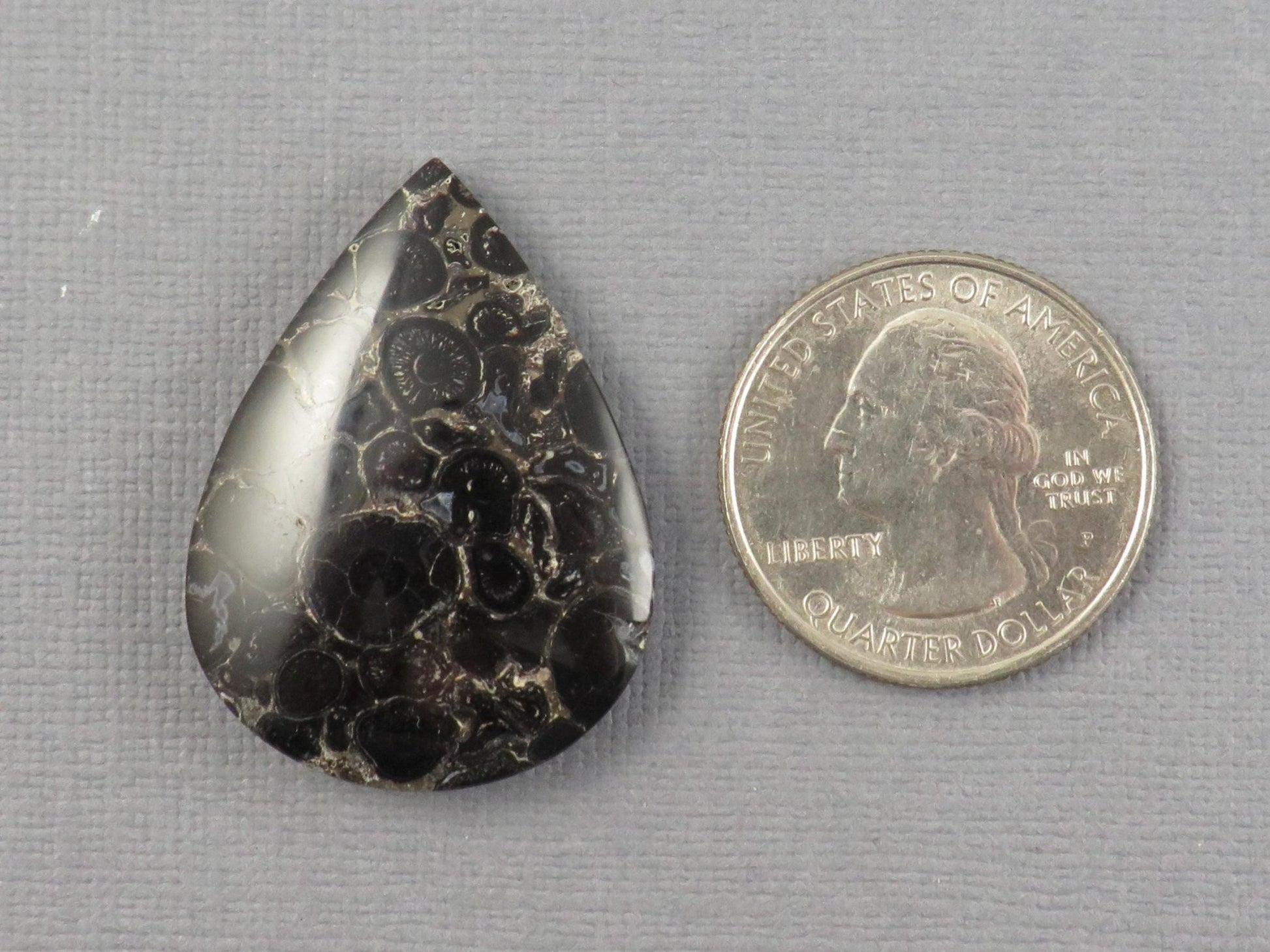 Fossilized Palm Root Cabochon Pear | Palm Root Stone | 34x25mm, 29.6ct | Indonesia | PRA104 - Gem Enthusiast