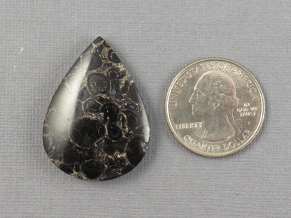Fossilized Palm Root Cabochon Pear | Palm Root Stone | 34x25mm, 29.6ct | Indonesia | PRA104 - Gem Enthusiast