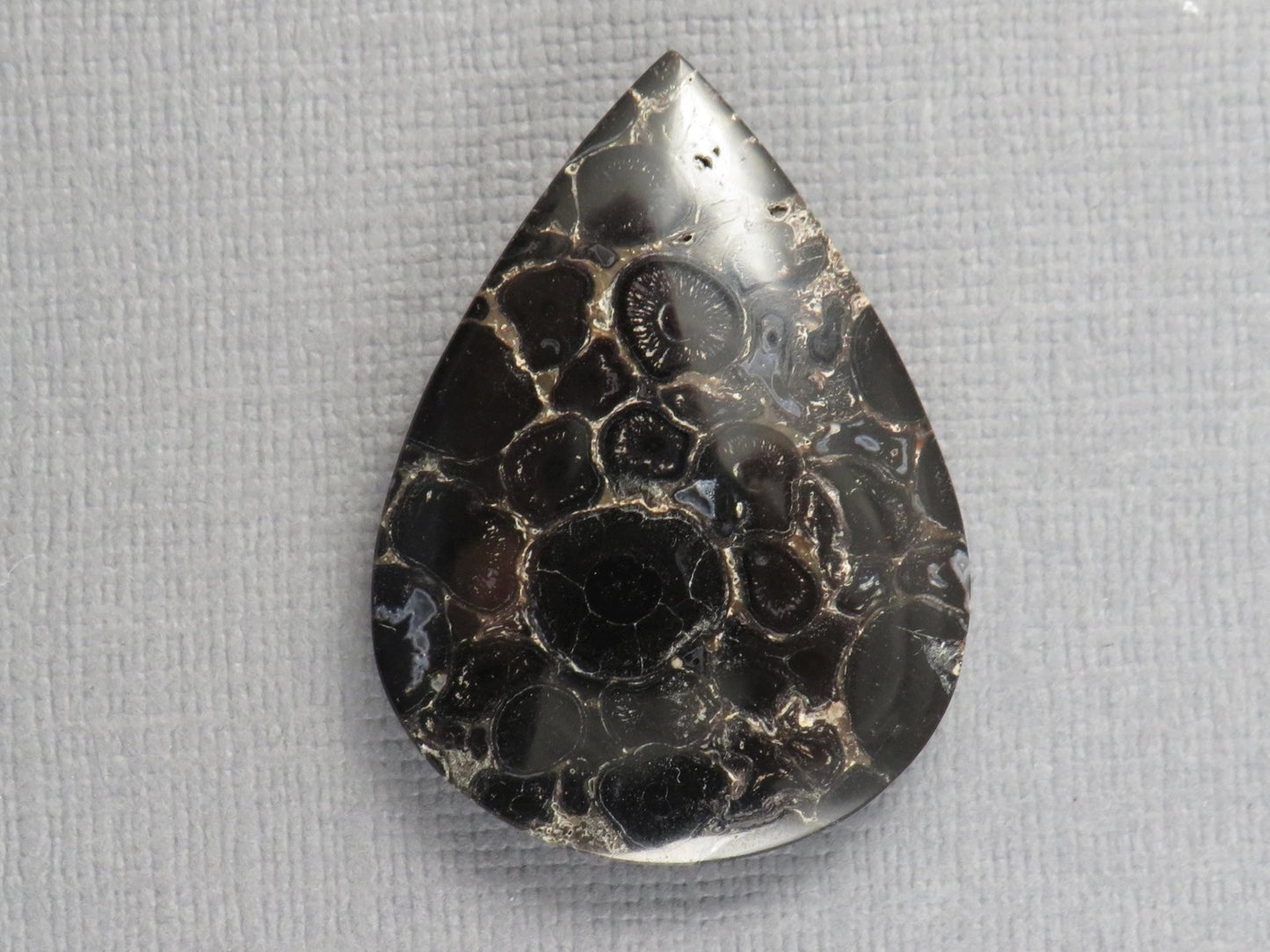 Fossilized Palm Root Cabochon Pear | Palm Root Stone | 34x25mm, 29.6ct | Indonesia | PRA104 - Gem Enthusiast