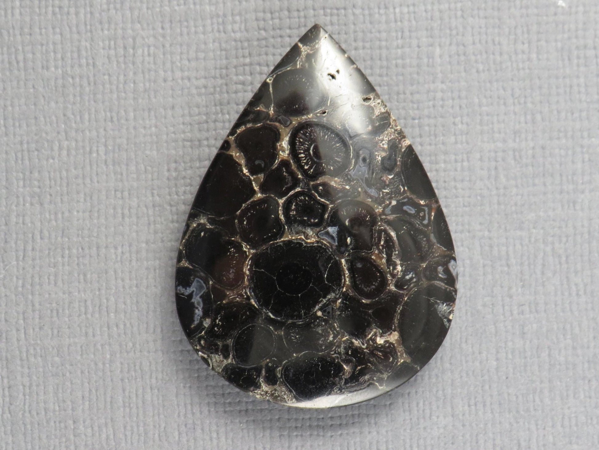 Fossilized Palm Root Cabochon Pear | Palm Root Stone | 34x25mm, 29.6ct | Indonesia | PRA104 - Gem Enthusiast