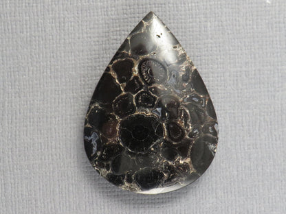 Fossilized Palm Root Cabochon Pear | Palm Root Stone | 34x25mm, 29.6ct | Indonesia | PRA104 - Gem Enthusiast