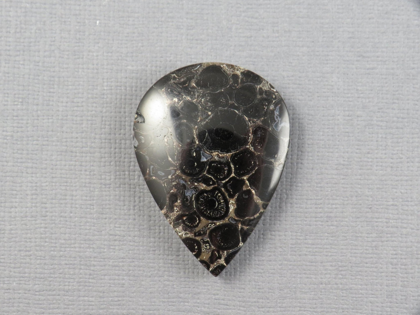Fossilized Palm Root Cabochon Pear | Palm Root Stone | 34x25mm, 29.6ct | Indonesia | PRA104 - Gem Enthusiast