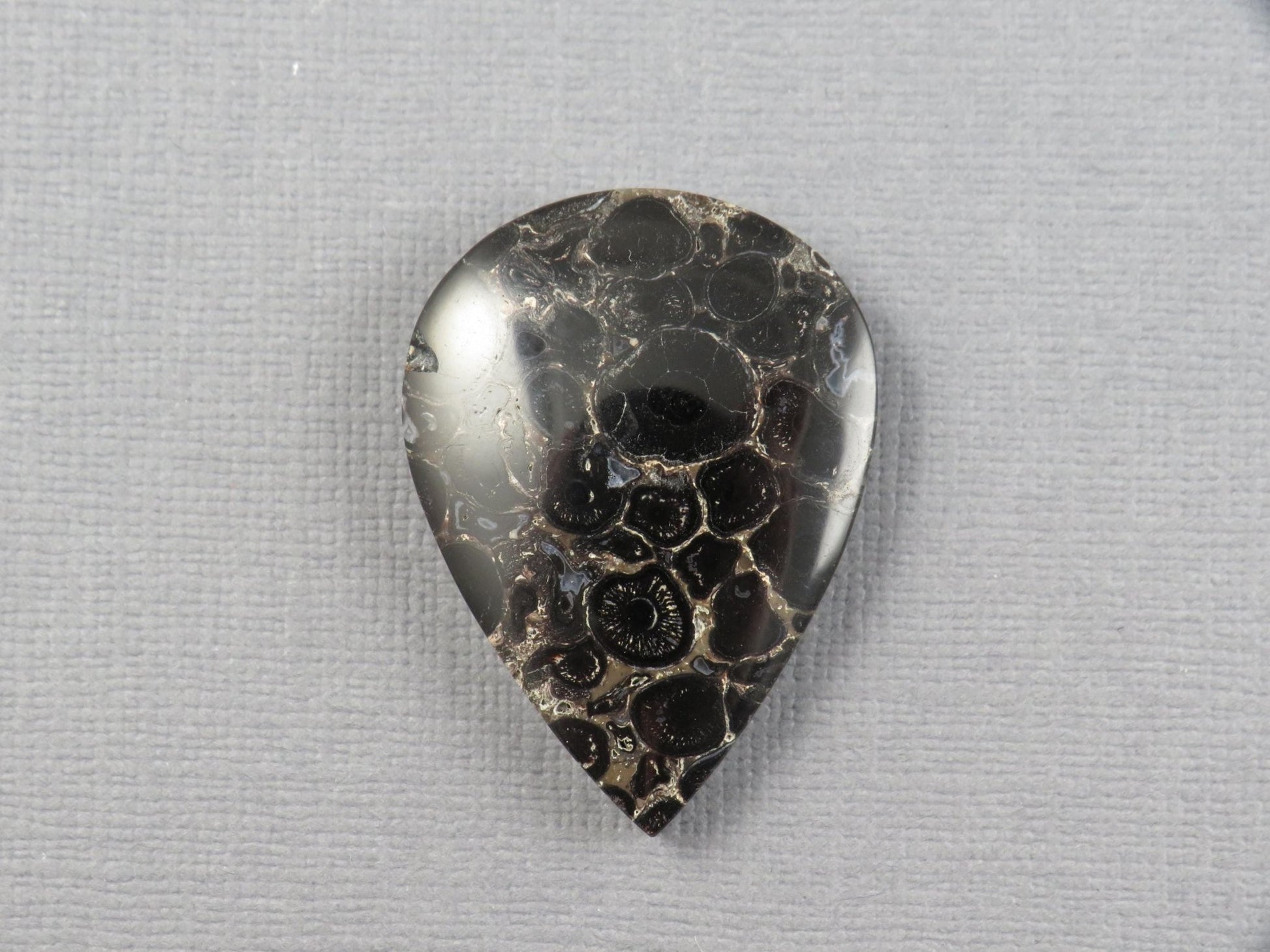 Fossilized Palm Root Cabochon Pear | Palm Root Stone | 34x25mm, 29.6ct | Indonesia | PRA104 - Gem Enthusiast