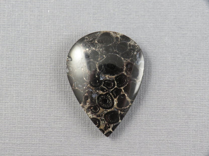 Fossilized Palm Root Cabochon Pear | Palm Root Stone | 34x25mm, 29.6ct | Indonesia | PRA104 - Gem Enthusiast