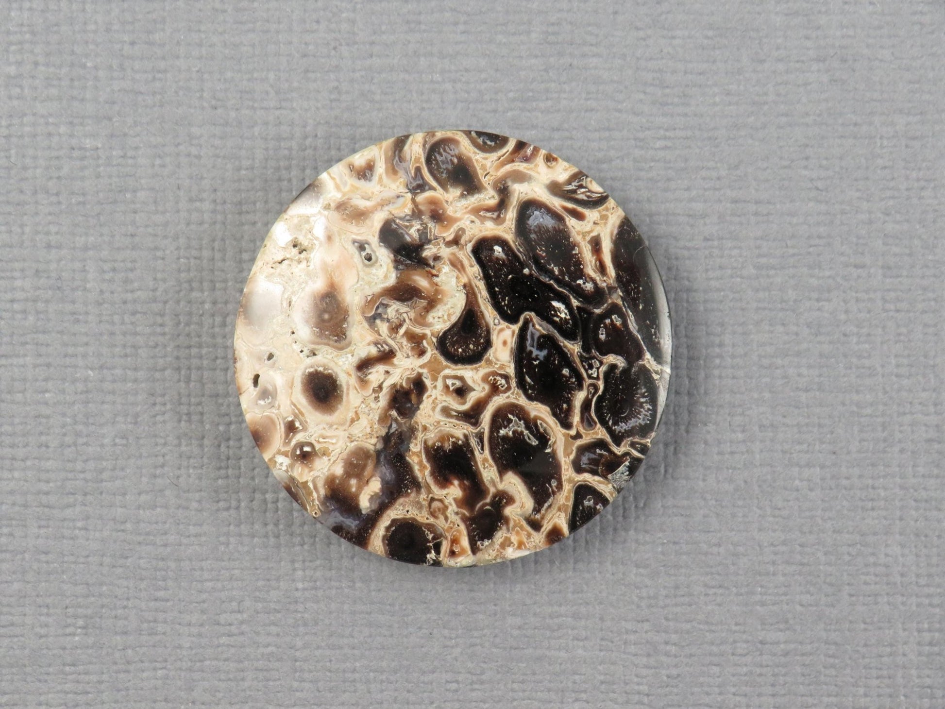 Fossilized Palm Root Cabochon Round | Palm Root Eye | 27x27mm, 23.6ct | Indonesia | PRA108 - Gem Enthusiast