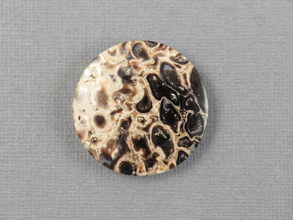 Fossilized Palm Root Cabochon Round | Palm Root Eye | 27x27mm, 23.6ct | Indonesia | PRA108 - Gem Enthusiast