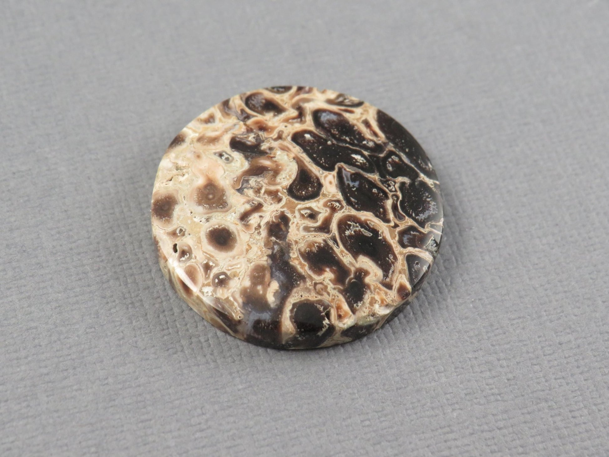 Fossilized Palm Root Cabochon Round | Palm Root Eye | 27x27mm, 23.6ct | Indonesia | PRA108 - Gem Enthusiast
