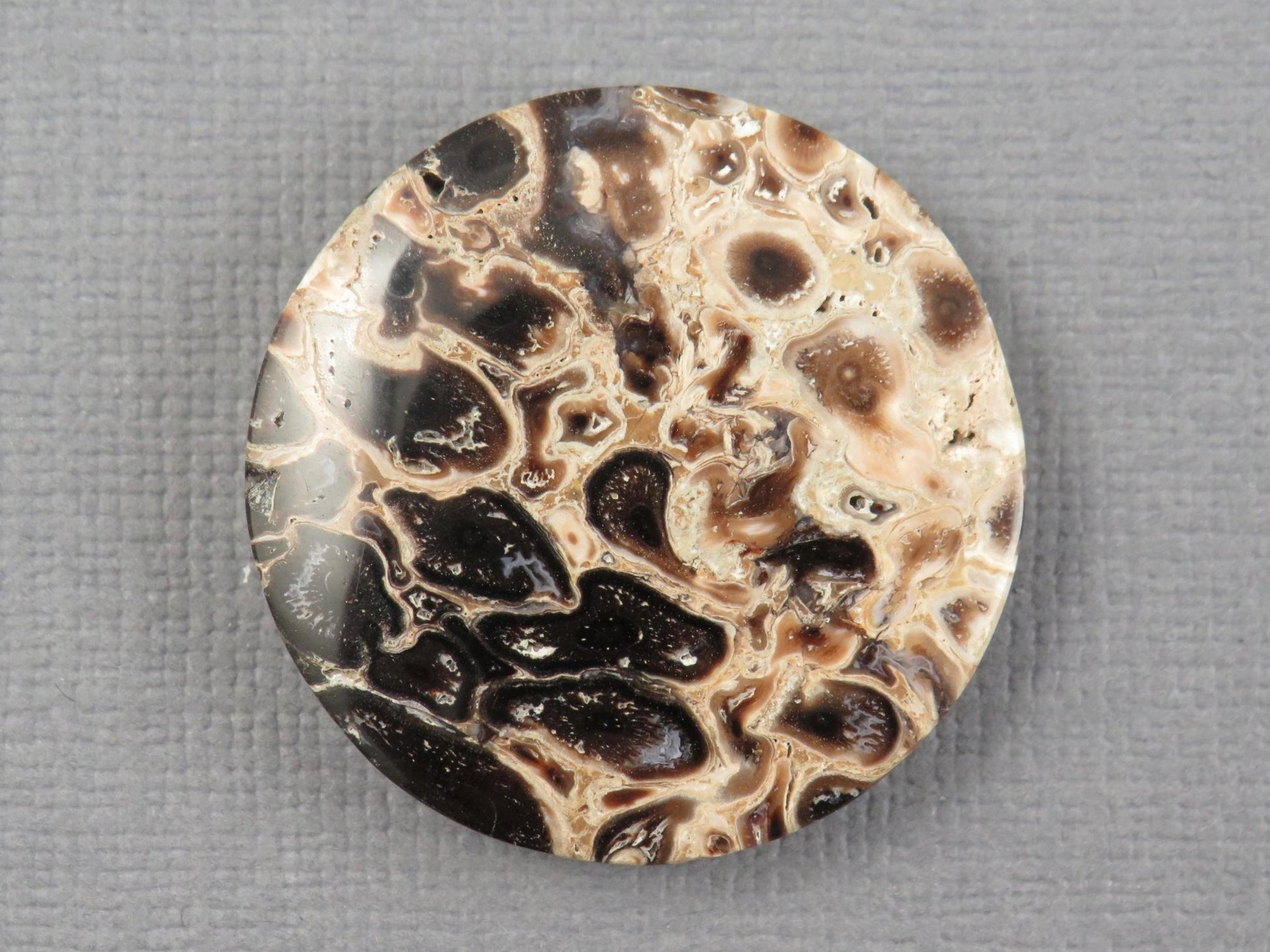 Fossilized Palm Root Cabochon Round | Palm Root Eye | 27x27mm, 23.6ct | Indonesia | PRA108 - Gem Enthusiast