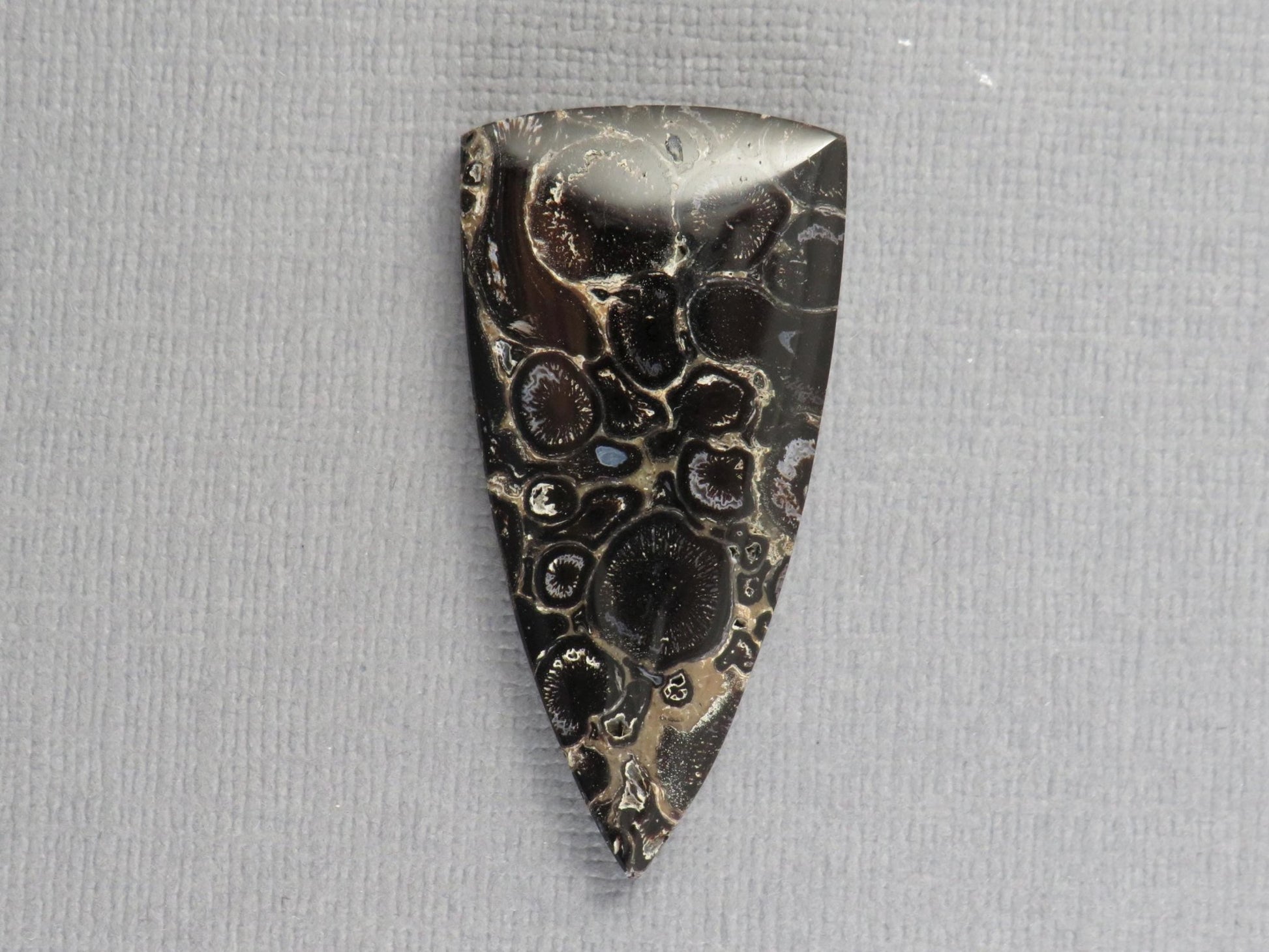 Fossilized Palm Root Cabochon Triangle | Palm Root Eye | 29x19mm, 23.6ct | Indonesia | PRA107 - Gem Enthusiast