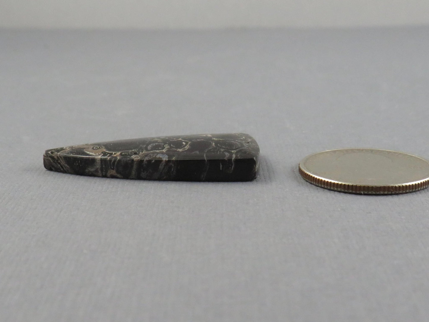 Fossilized Palm Root Cabochon Triangle | Palm Root Eye | 29x19mm, 23.6ct | Indonesia | PRA107 - Gem Enthusiast