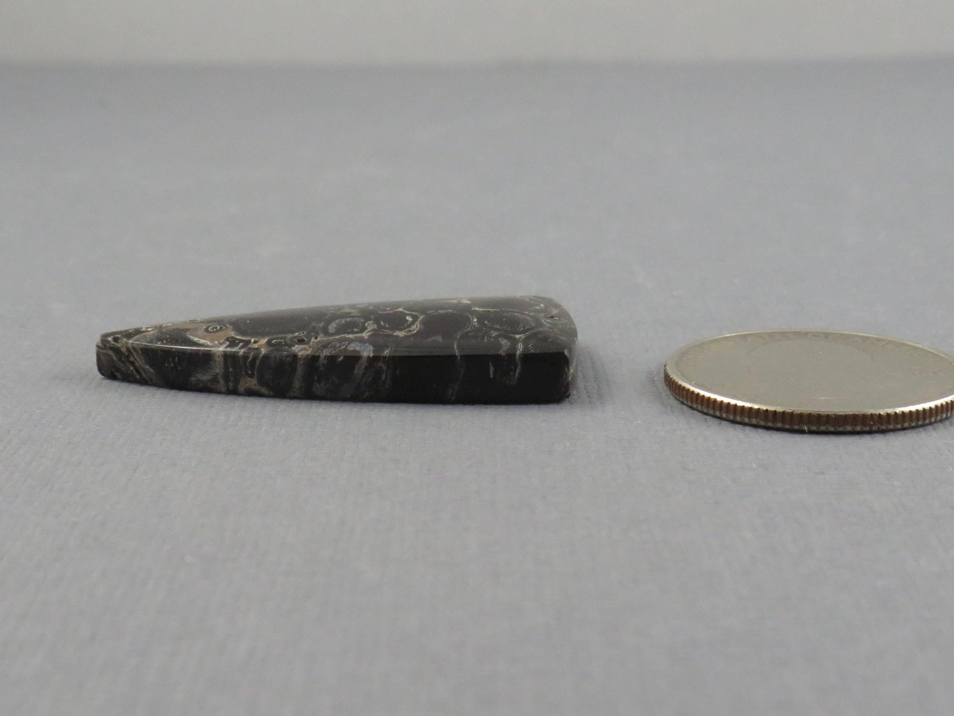 Fossilized Palm Root Cabochon Triangle | Palm Root Eye | 29x19mm, 23.6ct | Indonesia | PRA107 - Gem Enthusiast