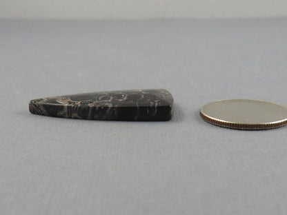 Fossilized Palm Root Cabochon Triangle | Palm Root Eye | 29x19mm, 23.6ct | Indonesia | PRA107 - Gem Enthusiast