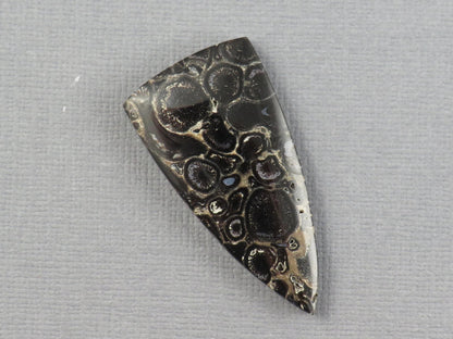 Fossilized Palm Root Cabochon Triangle | Palm Root Eye | 29x19mm, 23.6ct | Indonesia | PRA107 - Gem Enthusiast