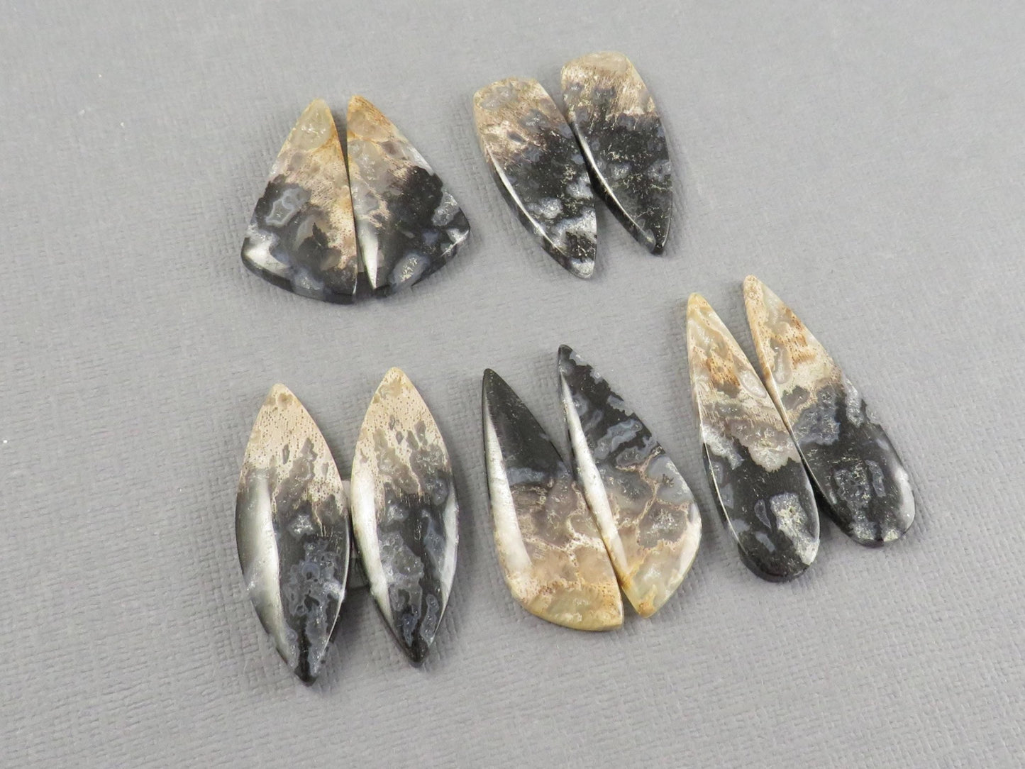 Fossilized Palm Root Cabochons | Per Pair | Indonesia | PRA102 - Gem Enthusiast